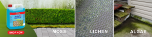 Cleaning outdoor surfaces using spray it & leave it